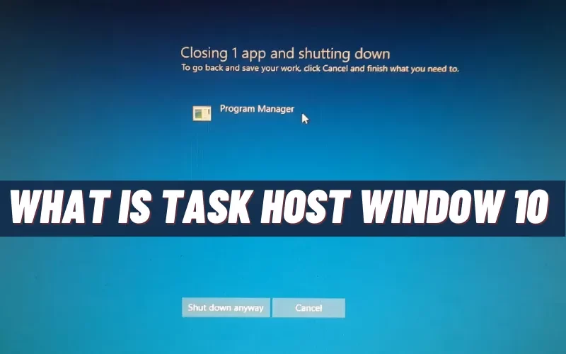 What Is Task Host Window 10? How to Prevent Shut Down?