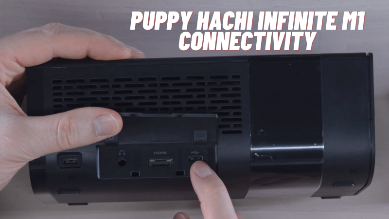 Puppy Hachi Infinite M1 Connectivity