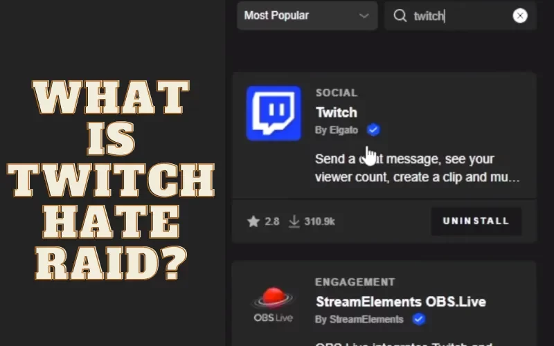 What is Twitch Hate Raid?