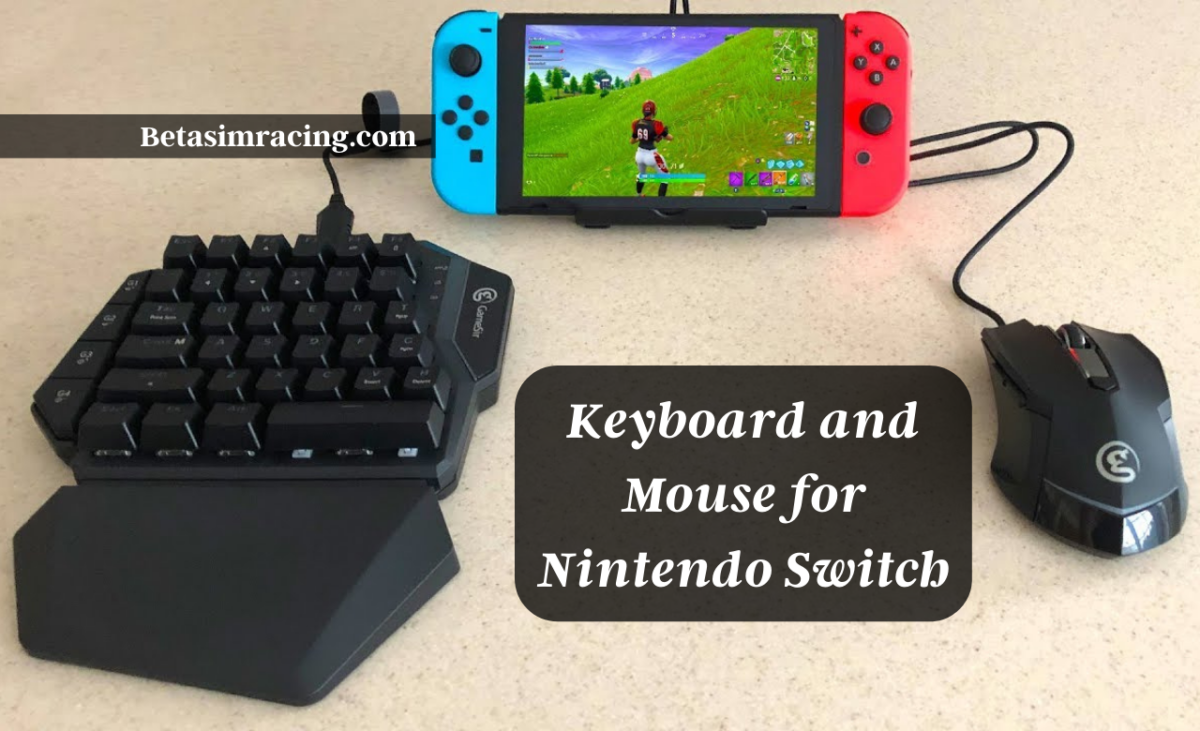 How To Use Nintendo Switch With A Keyboard And Mouse