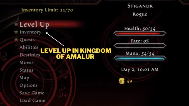 Level-Up-in-Kingdom-Of-Amalur--800x450