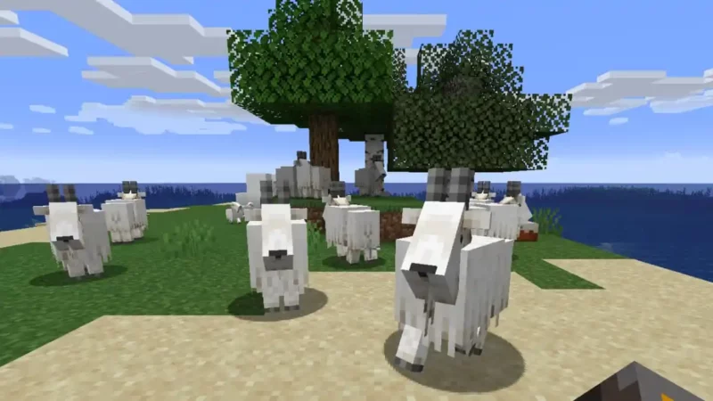 Goat Ram in Minecraft Bedrock
