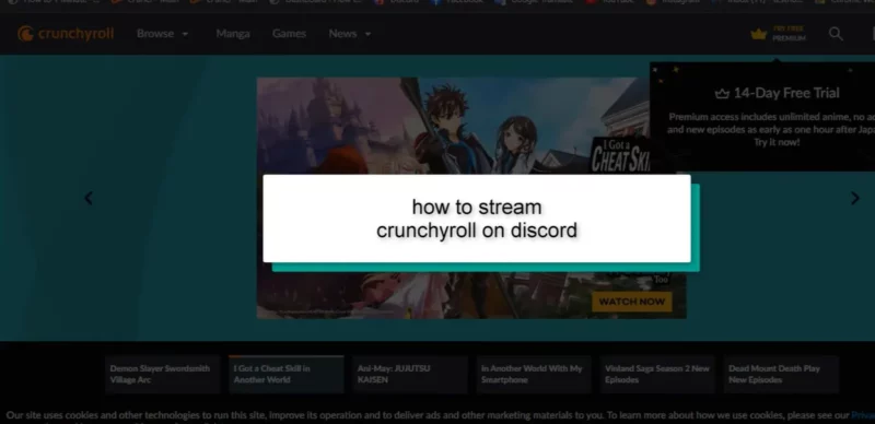 Crunchyroll In a Discord